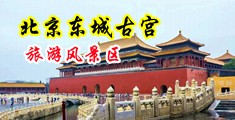 大鸡吧操骚逼电影中国北京-东城古宫旅游风景区
